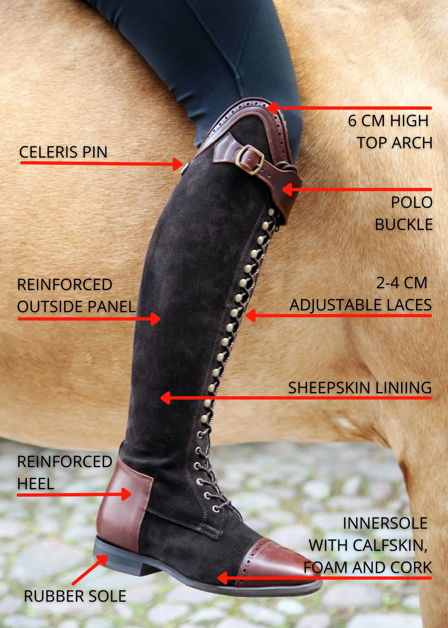 Bia Dressage Winter Design Your Own