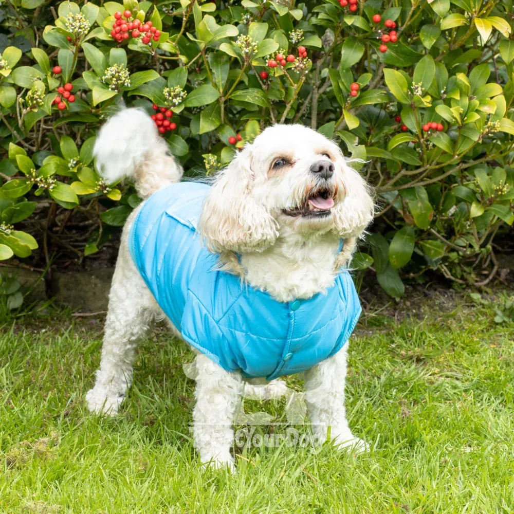 Blue Parka Dog Coat